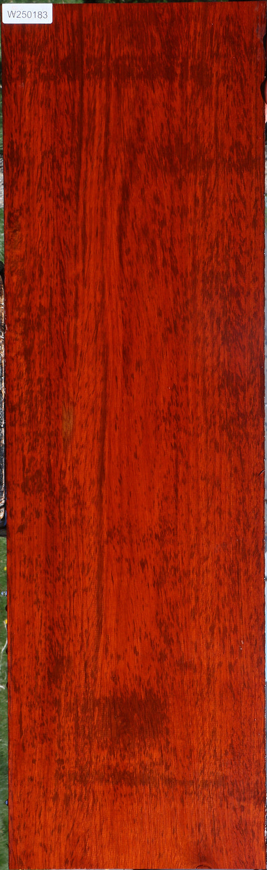 Extra Fancy Padauk Lumber