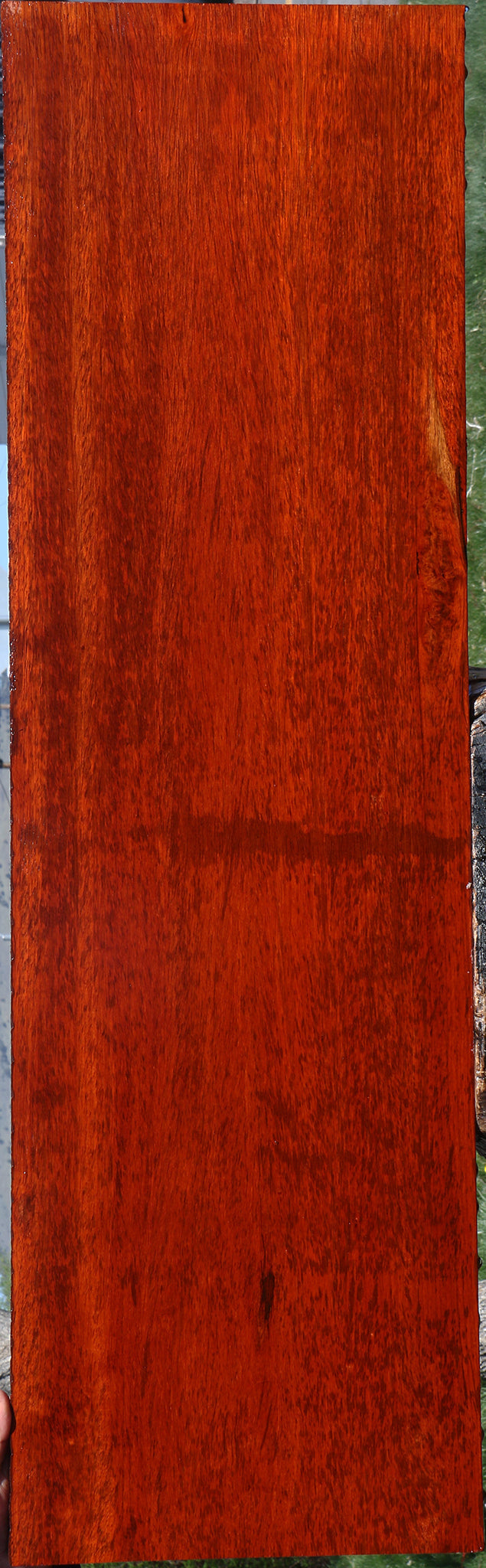 Extra Fancy Padauk Lumber