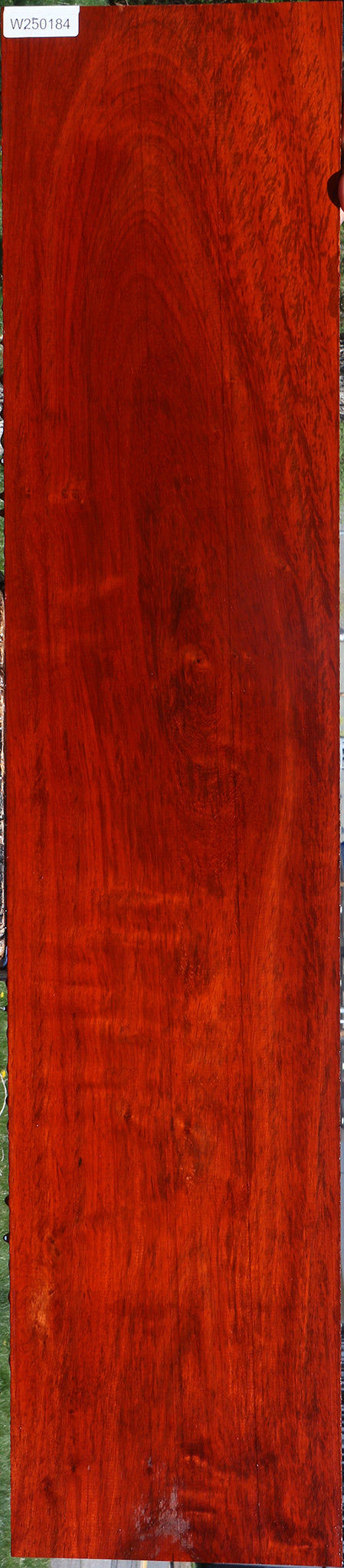 Extra Fancy Padauk Lumber
