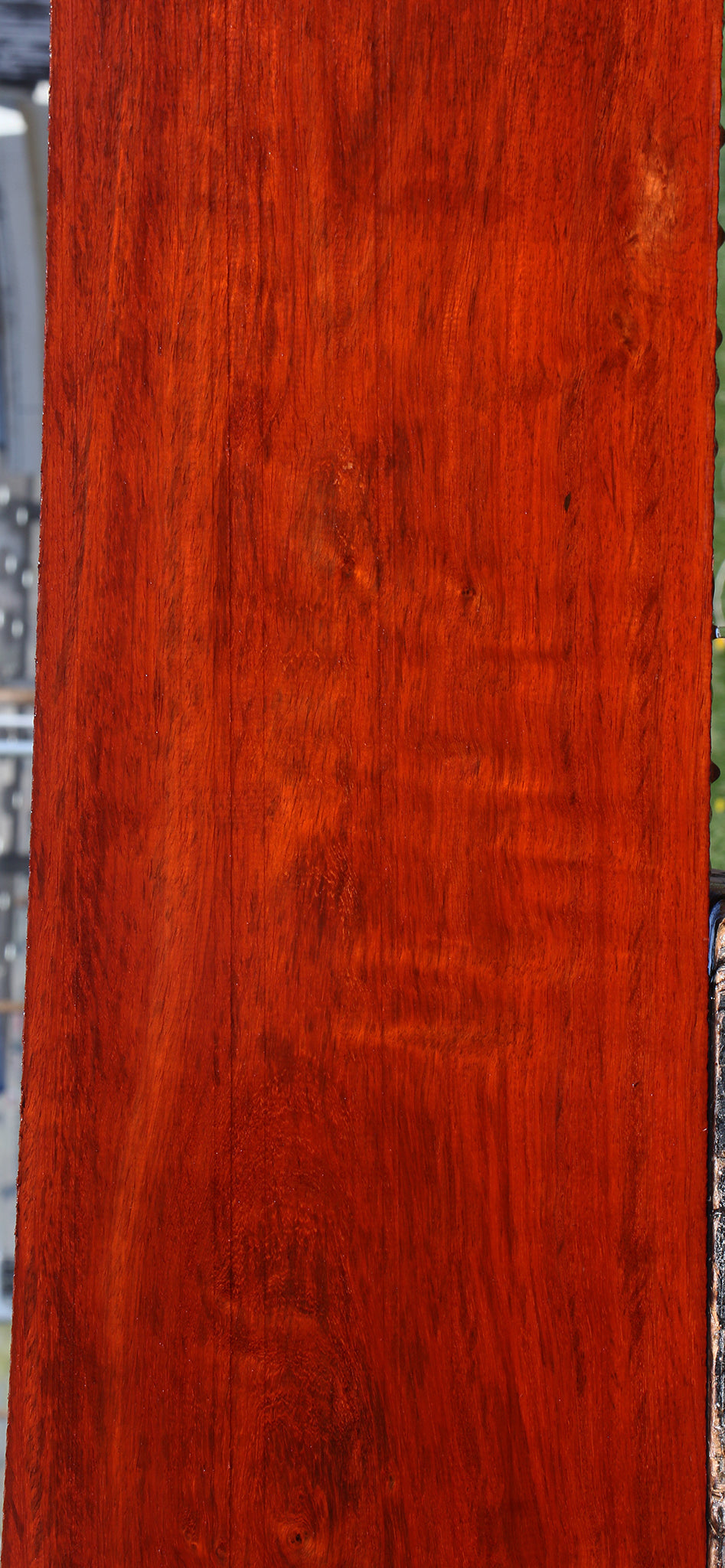 Extra Fancy Padauk Lumber