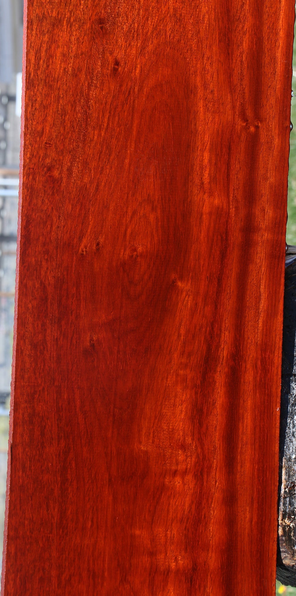 Extra Fancy Padauk Lumber