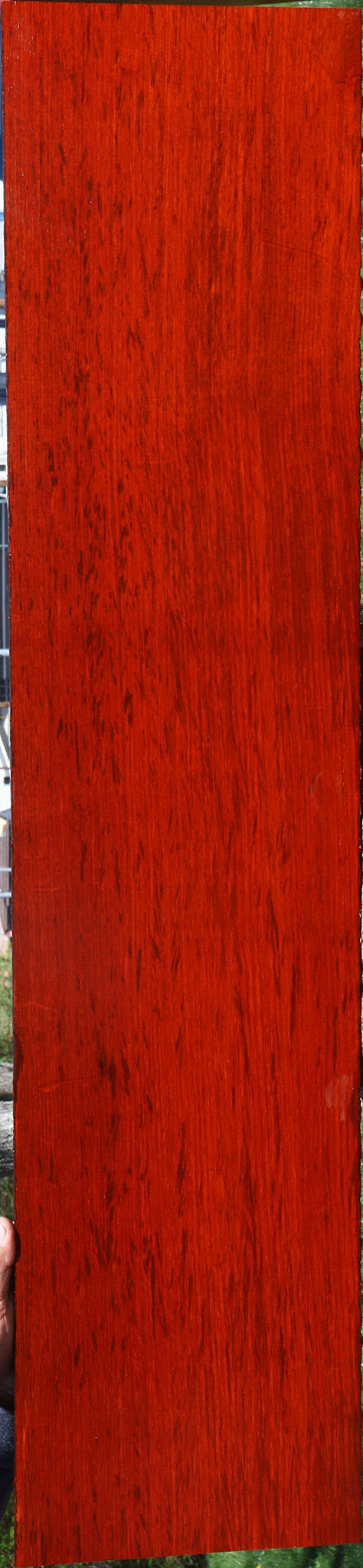 Padauk Lumber