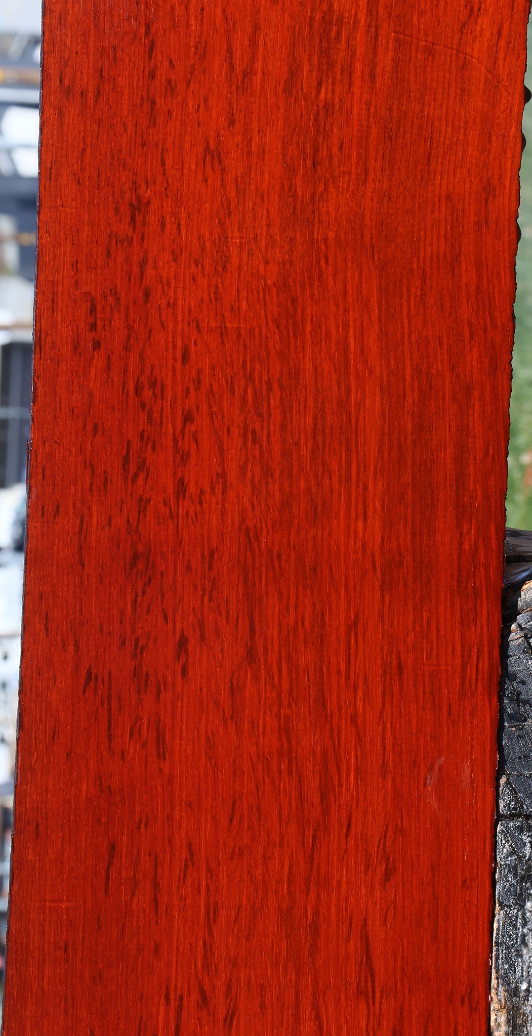 Padauk Lumber