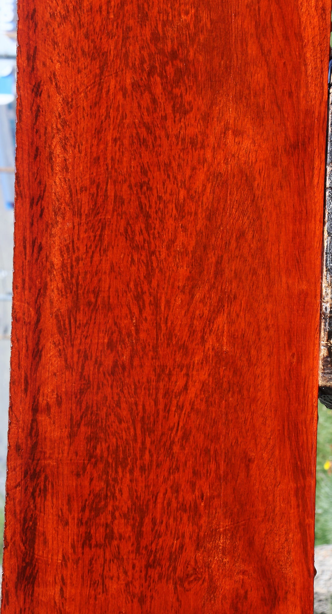 Padauk Lumber