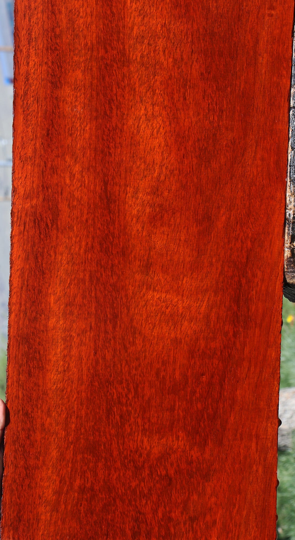 Padauk Lumber