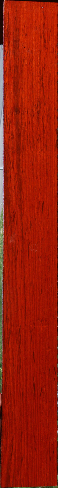 Padauk Lumber