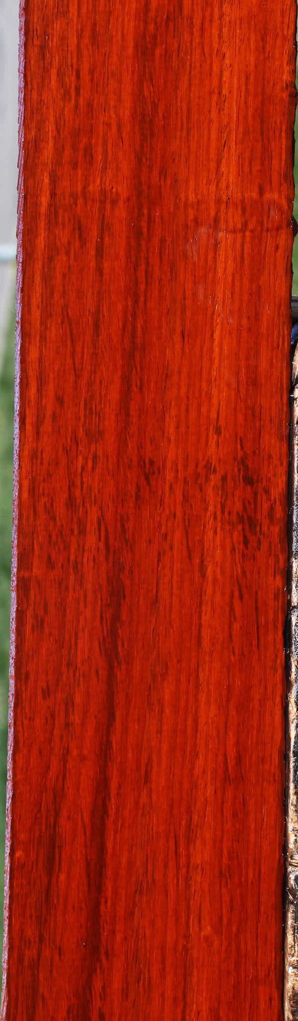 Padauk Lumber