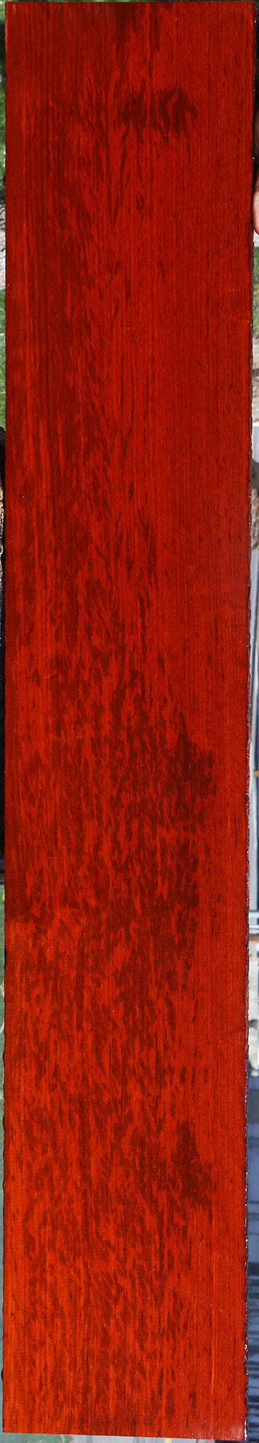 Extra Fancy Padauk Lumber