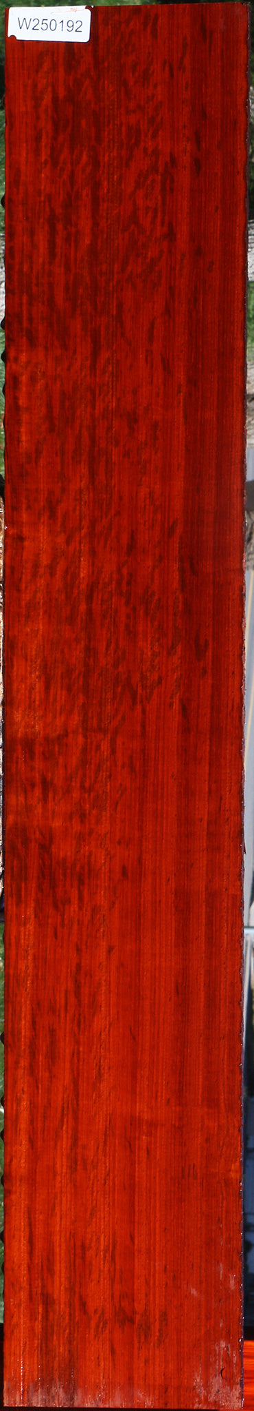 Extra Fancy Padauk Lumber