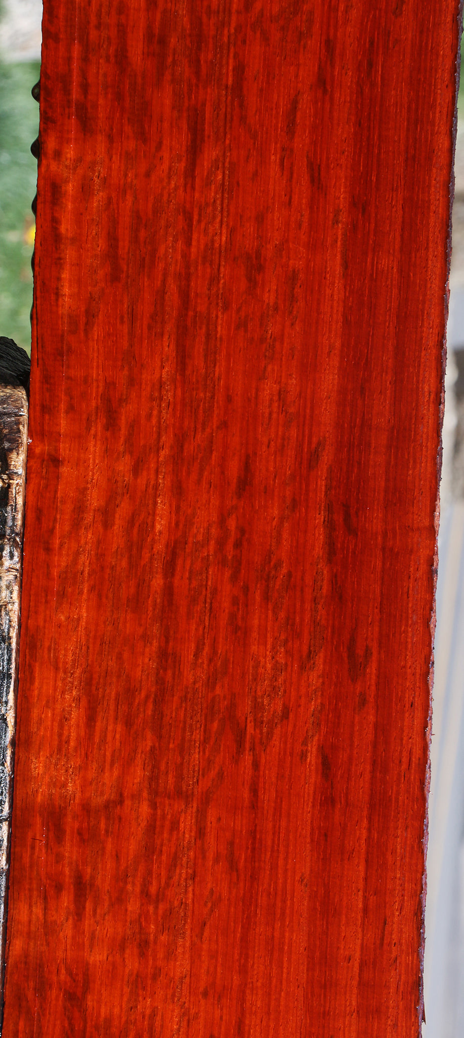 Extra Fancy Padauk Lumber