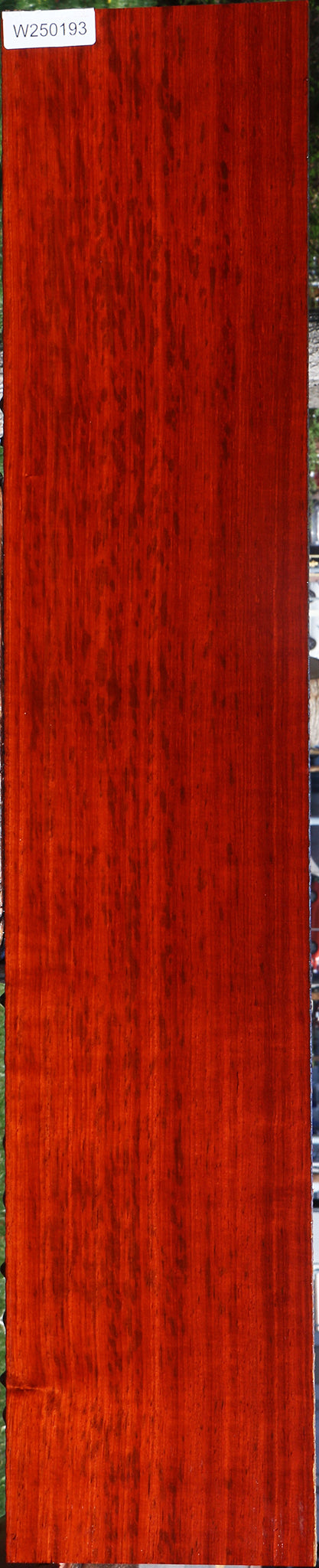 Extra Fancy Padauk Lumber