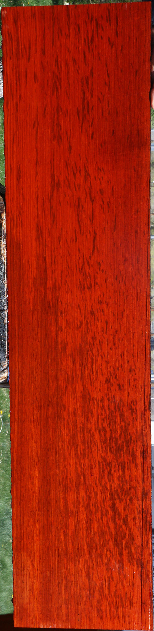 Figured Padauk Lumber