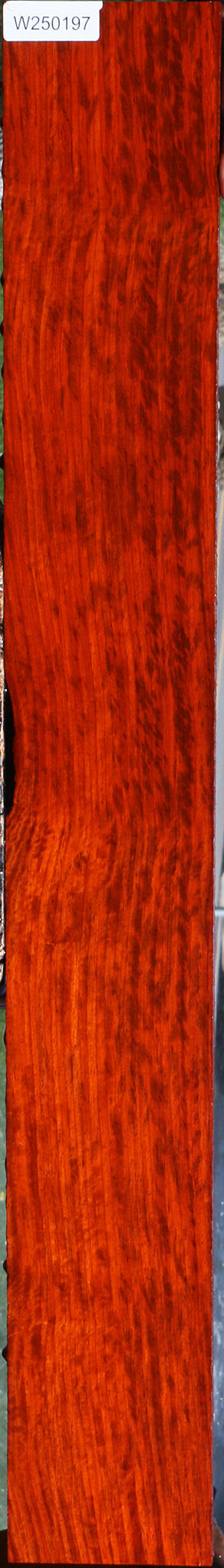 Extra Fancy Padauk Lumber