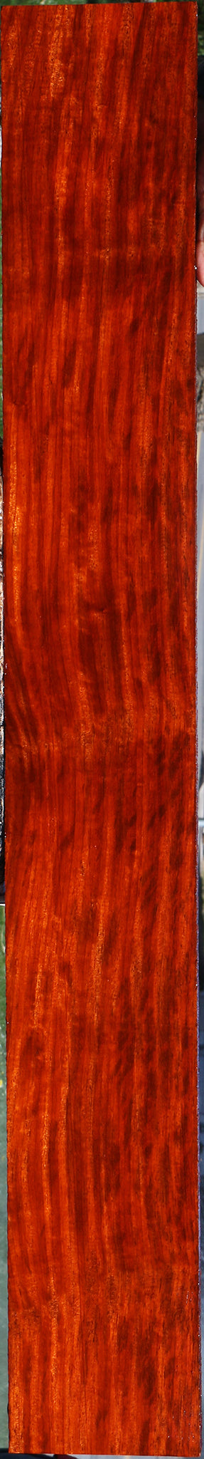 Extra Fancy Padauk Lumber