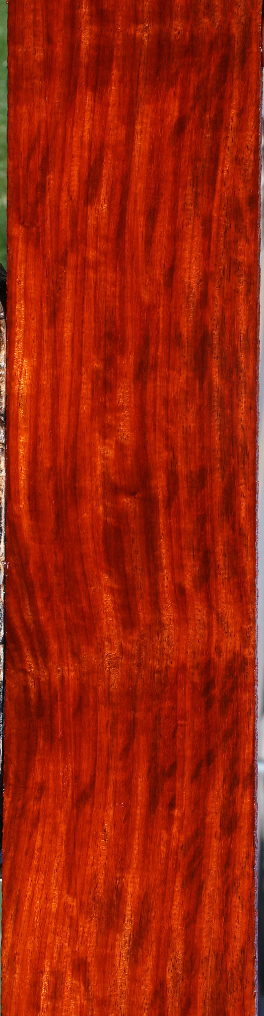 Extra Fancy Padauk Lumber