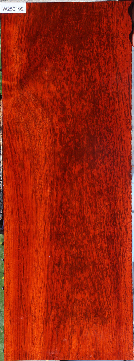 Extra Fancy Padauk Lumber