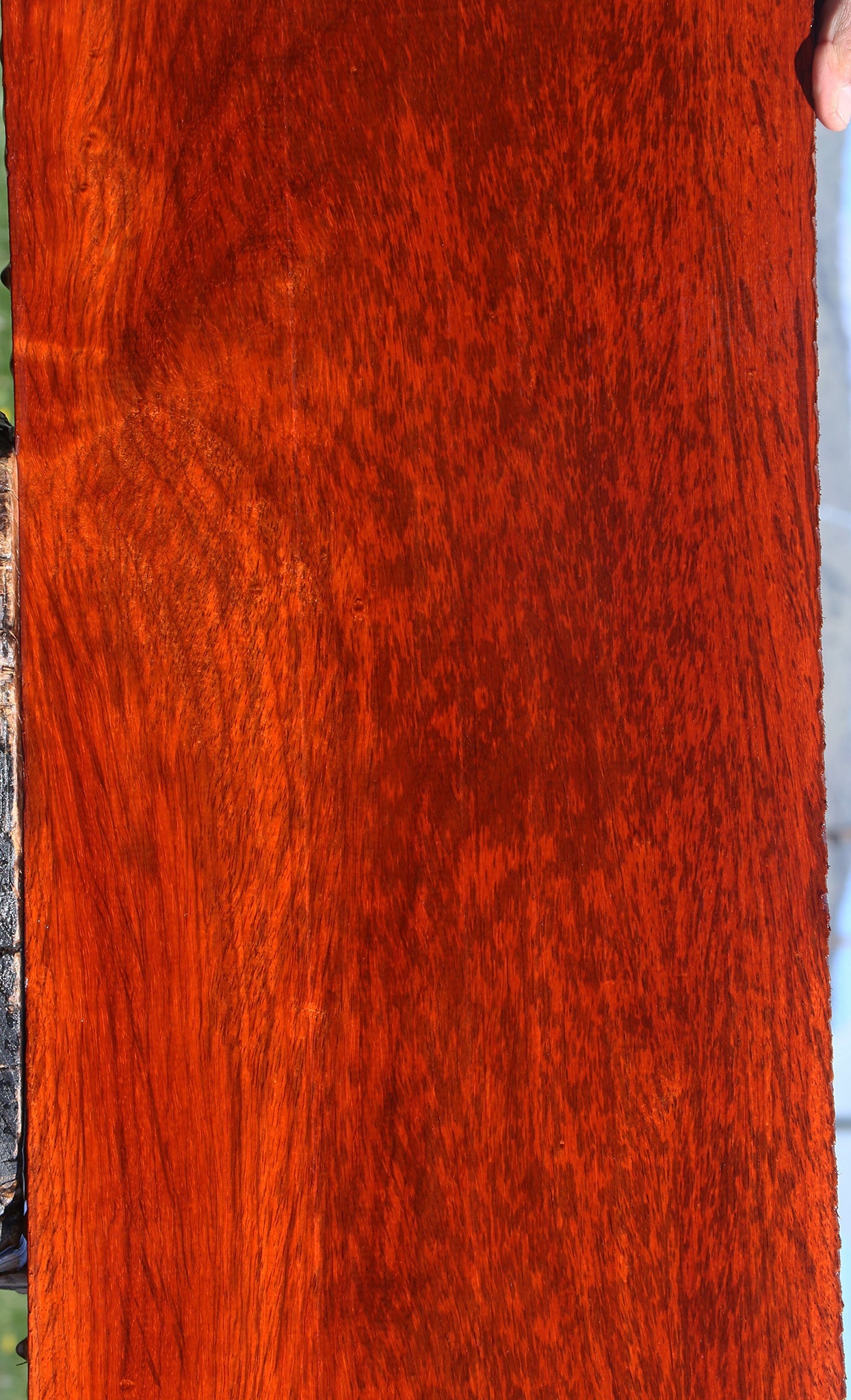 Extra Fancy Padauk Lumber