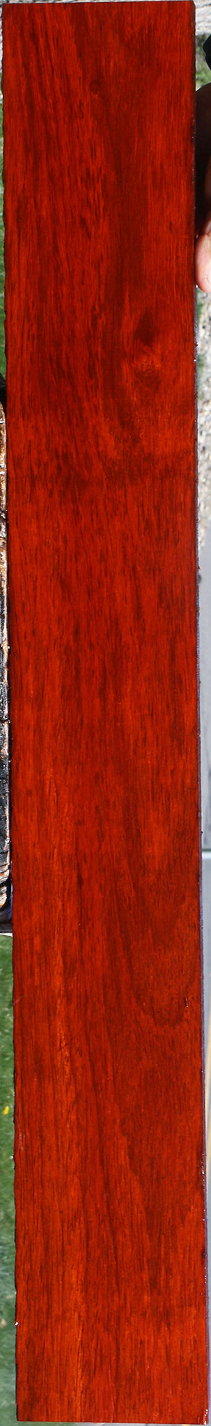 Padauk Lumber