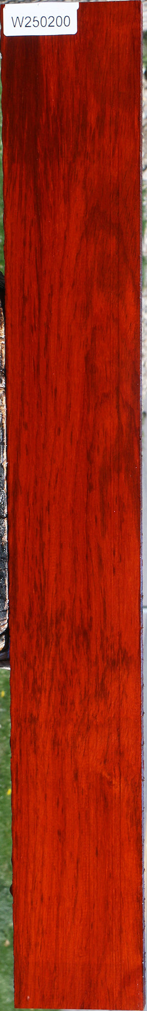 Padauk Lumber