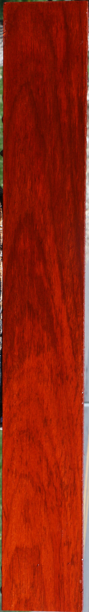 Padauk Lumber