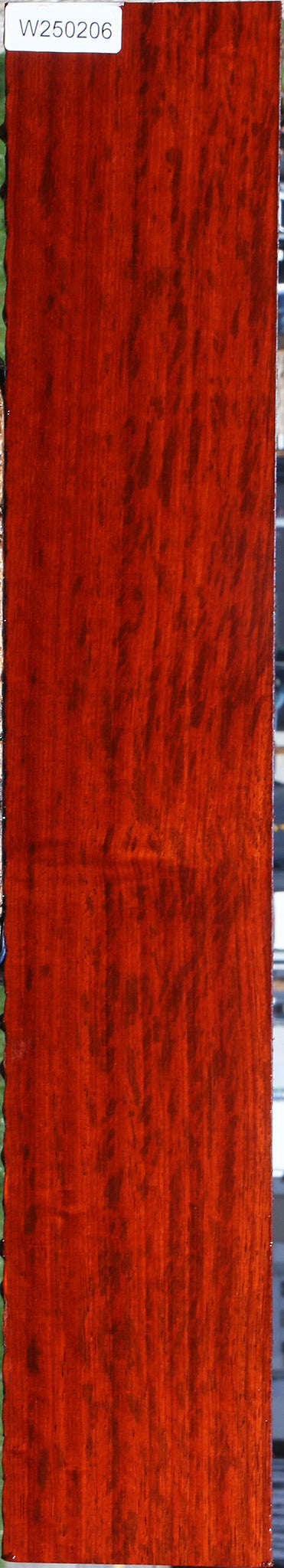 Extra Fancy Padauk Lumber