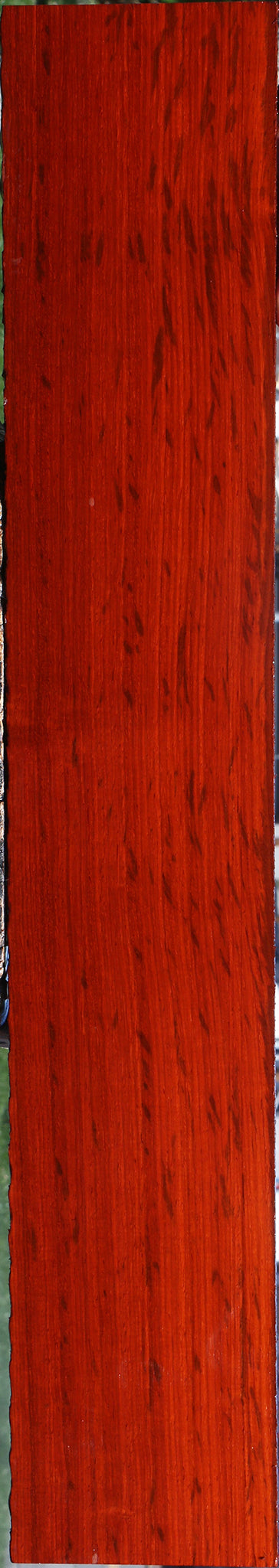 Extra Fancy Padauk Lumber