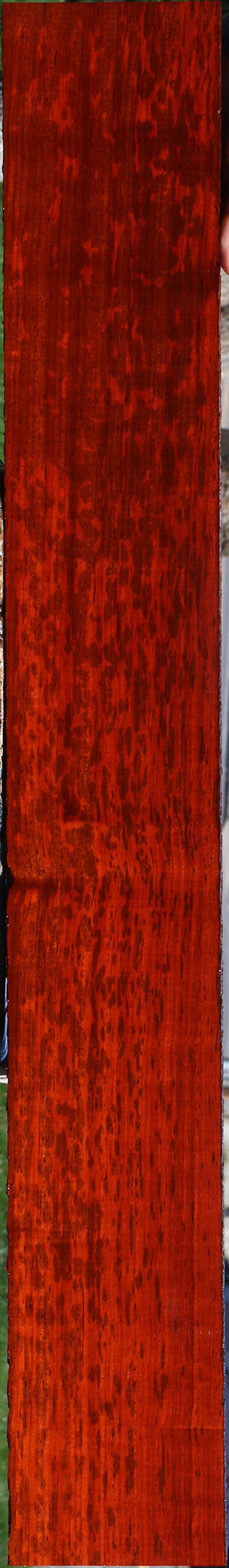 Extra Fancy Padauk Lumber