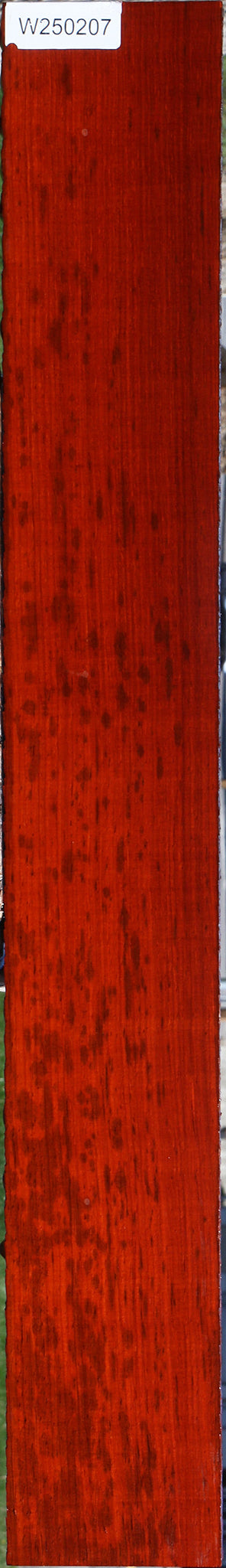 Extra Fancy Padauk Lumber