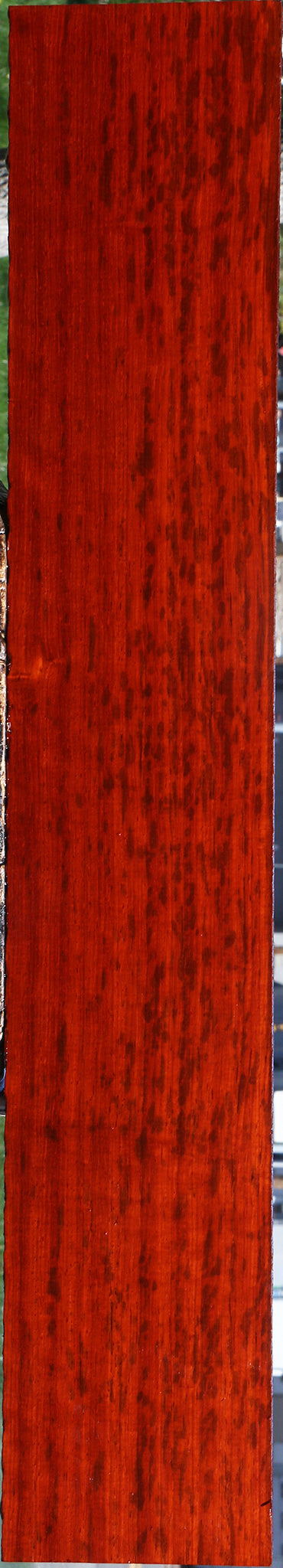 Extra Fancy Padauk Lumber