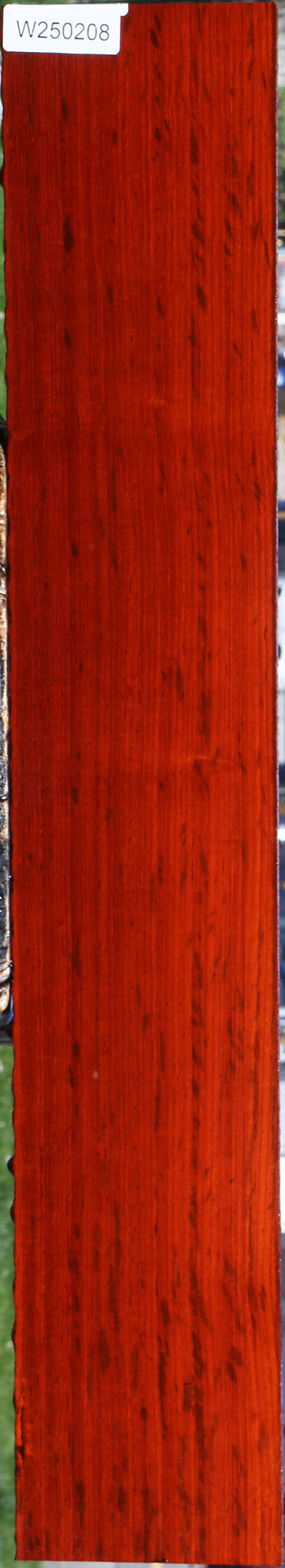 Extra Fancy Padauk Lumber