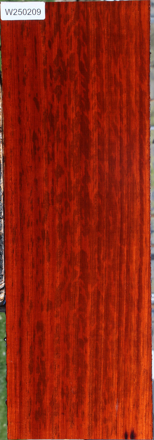 Figured Padauk Lumber