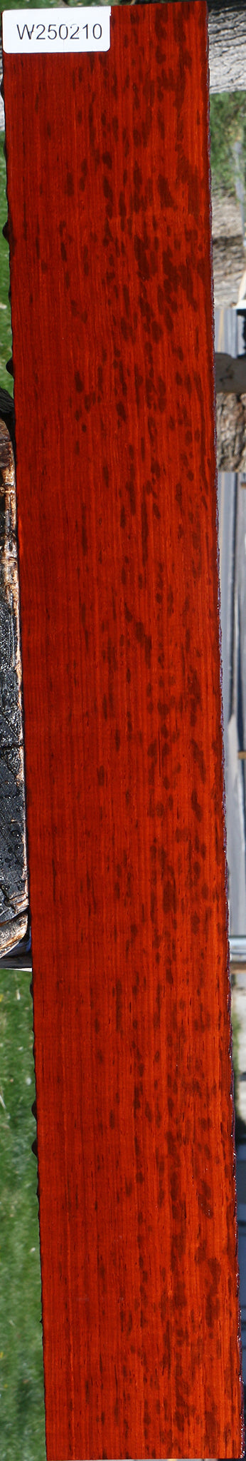Figured Padauk Lumber