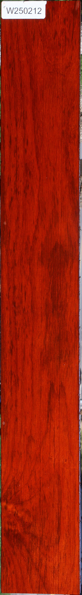 Padauk Lumber