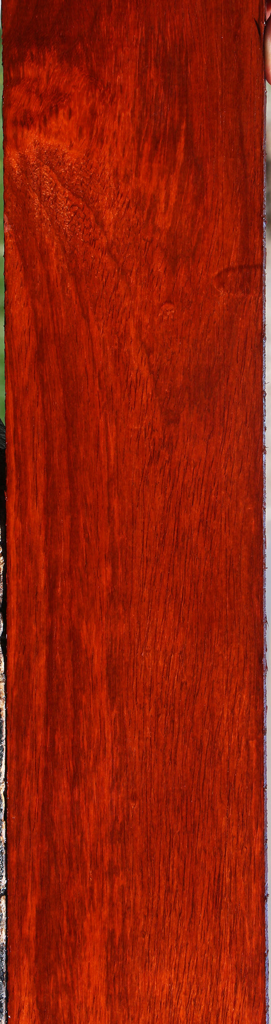 Padauk Lumber
