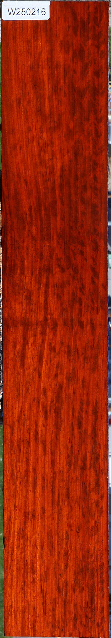 Extra Fancy Padauk Lumber