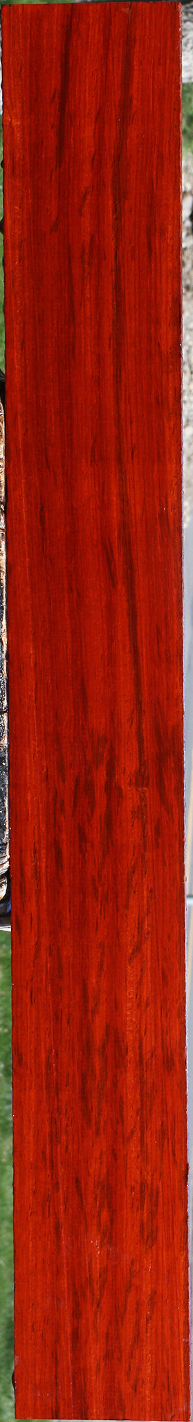 Padauk Lumber