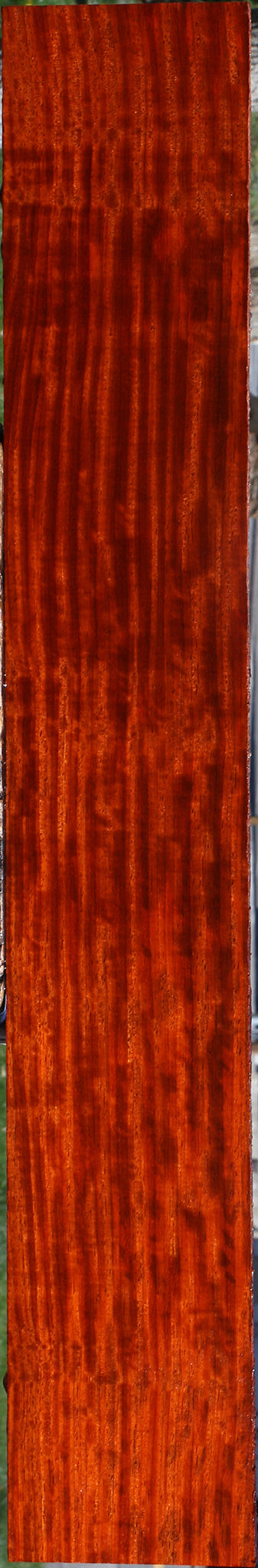 Extra Fancy Padauk Lumber