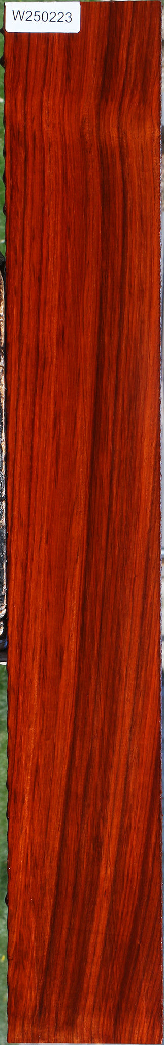 Padauk Lumber