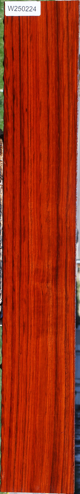 Padauk Lumber