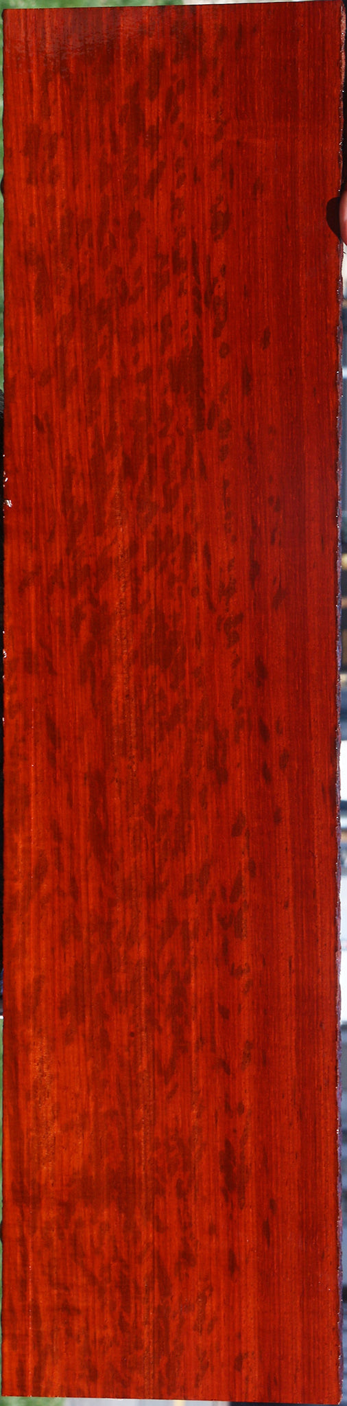 Extra Fancy Padauk Lumber