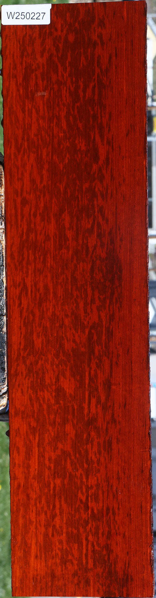 Extra Fancy Padauk Lumber