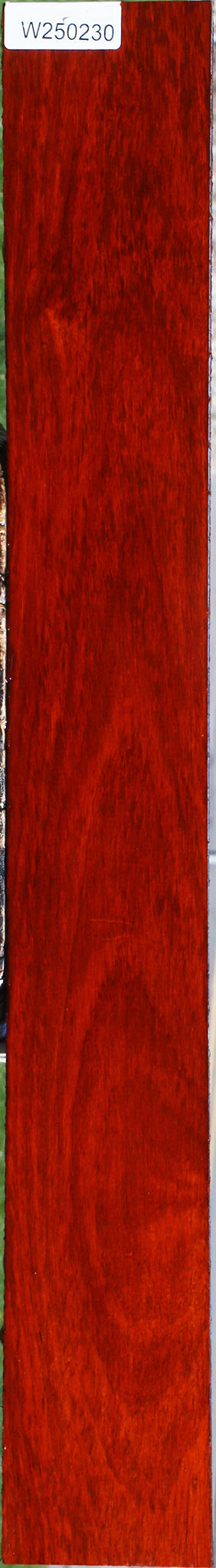 Padauk Lumber
