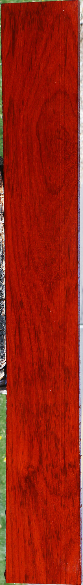 Padauk Lumber