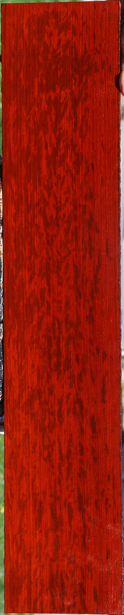 Padauk Lumber