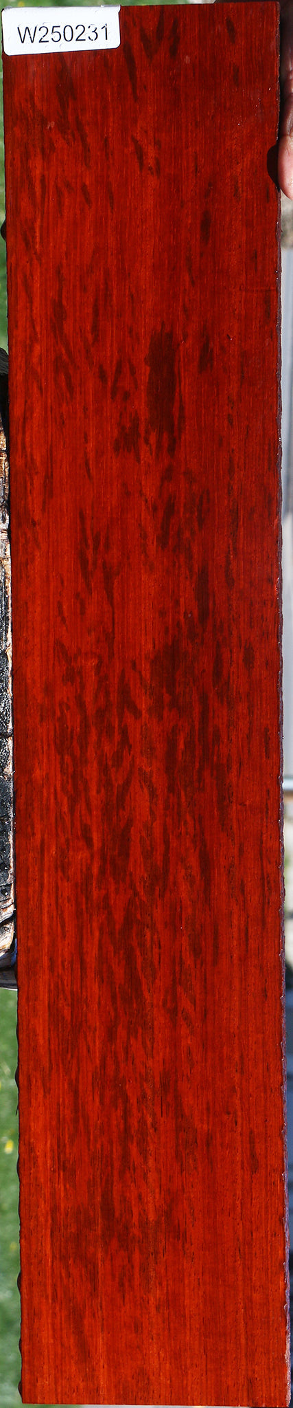 Padauk Lumber