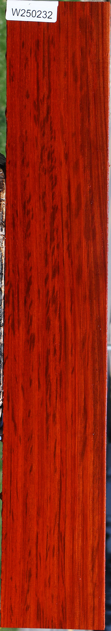 Padauk Lumber