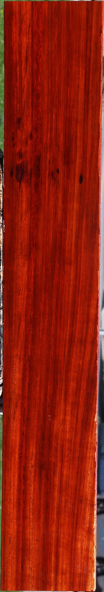 Padauk Lumber