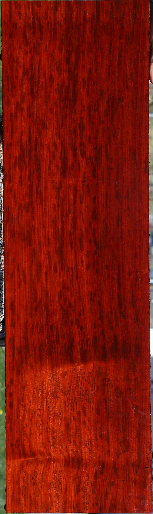 Figured Padauk Lumber