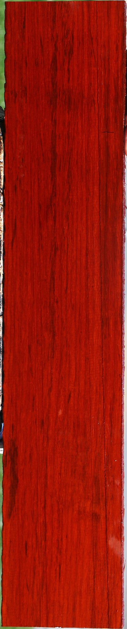 Padauk Lumber