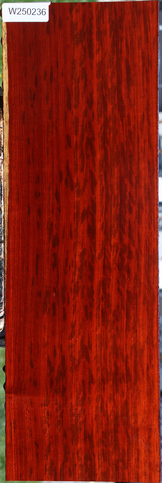 Figured Padauk Lumber